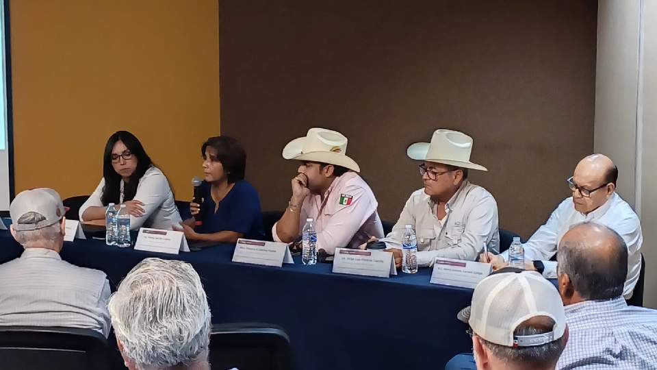 Consejo Sonorense Regulador del Bacanora, dio a conocer a los productores del sur de Sonora las ventajas del cultivo de agave para la producción de bacanora.